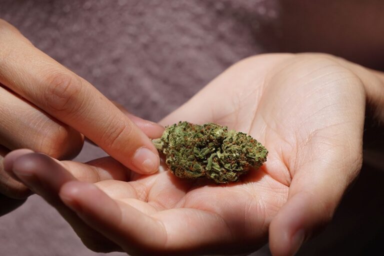Where Can You Find Weed in Dubai as a Tourist?