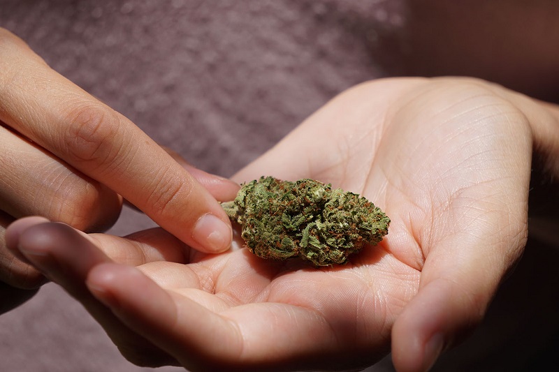 Where Can You Find Weed in Dubai as a Tourist?
