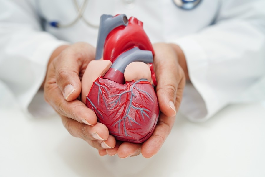 Cardiothoracic Care and Prevention_ What Patients Should Know