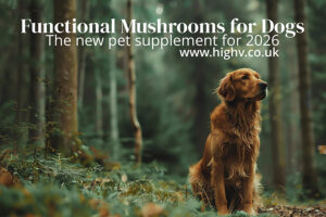 mushroom powder for dogs 2026
